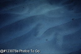 Underwater view of ocean floor