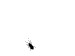 bugcaminando.gif